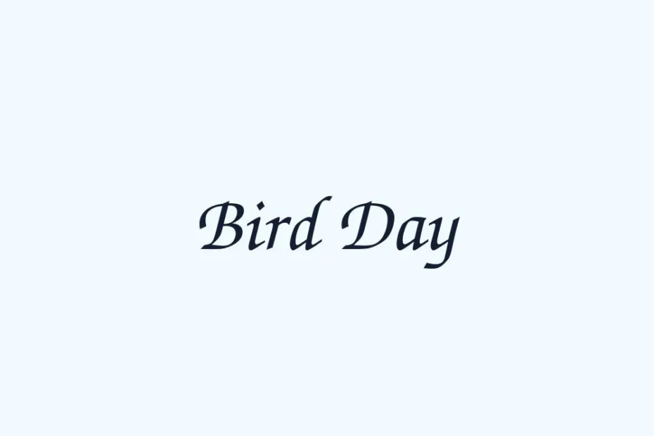 bird-day